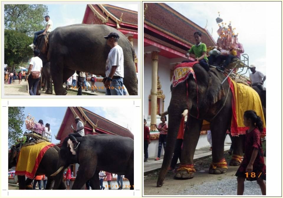 ช้าง มีช้างมากในยุคโบราณ