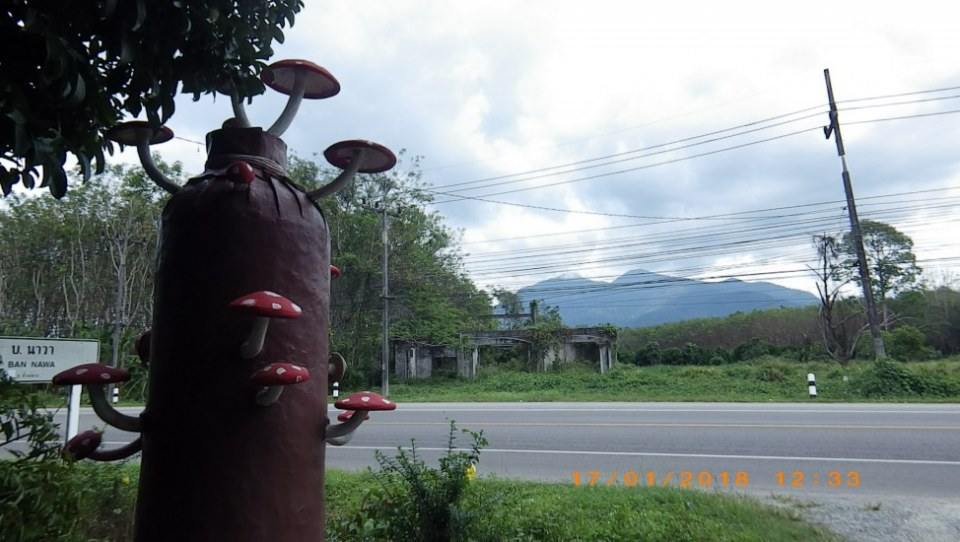 บ้านด่านไผ่งา(ภาคใต้)