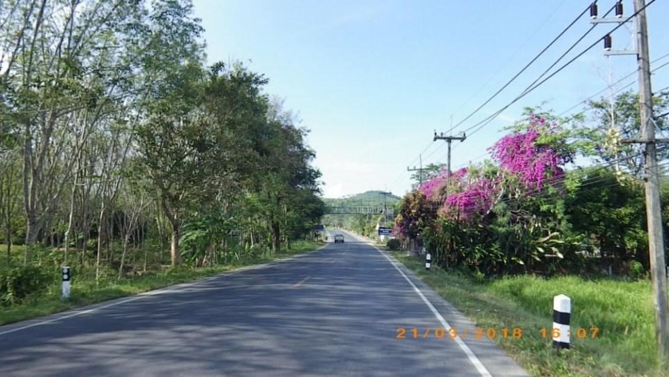 อ.พิปูน (จ.นครศรีธรรมราช)