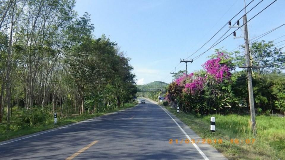 อ.พิปูน (จ.นครศรีธรรมราช)