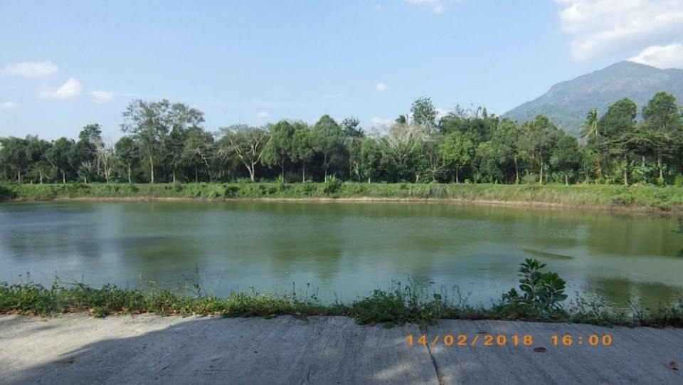บ้านควนส้าน ต.ช้างกลาง