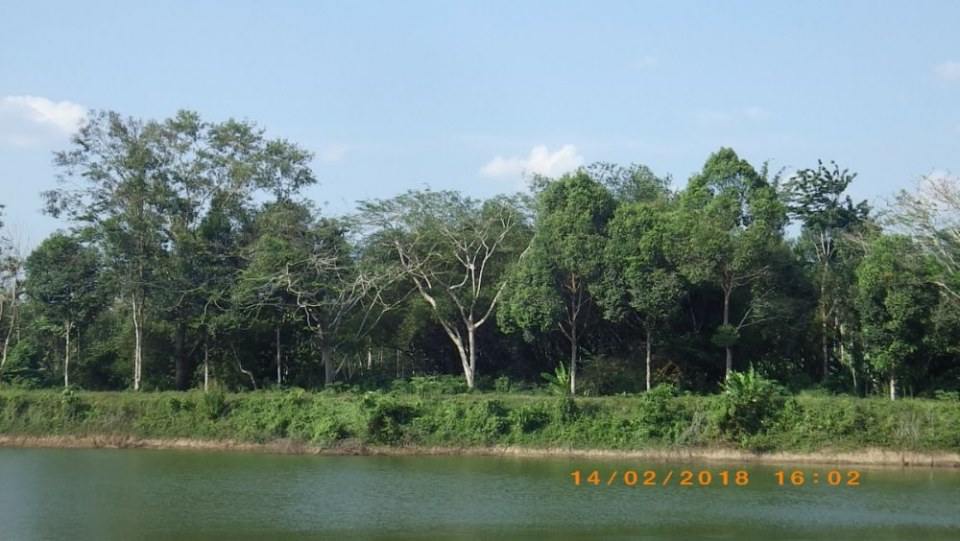 บ้านควนส้าน ต.ช้างกลาง