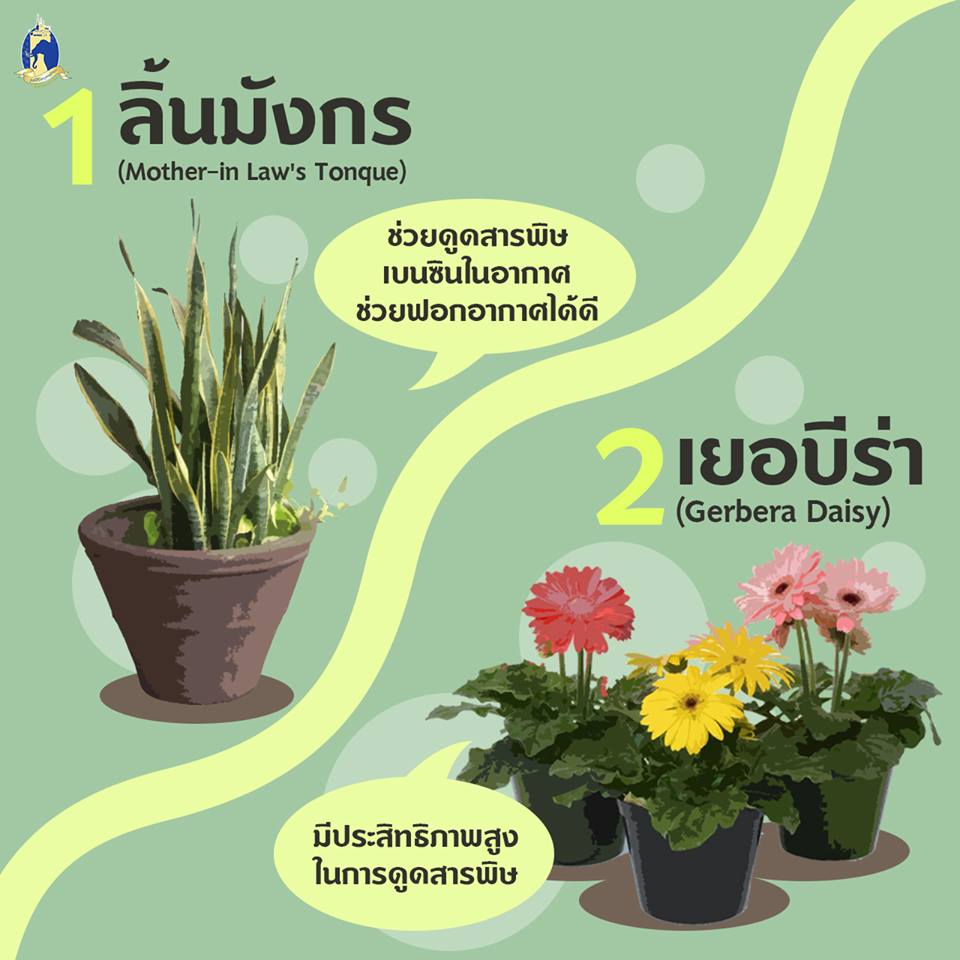 Pic Post ของฉัน ตอน ความรู้คู่บ้าน 1