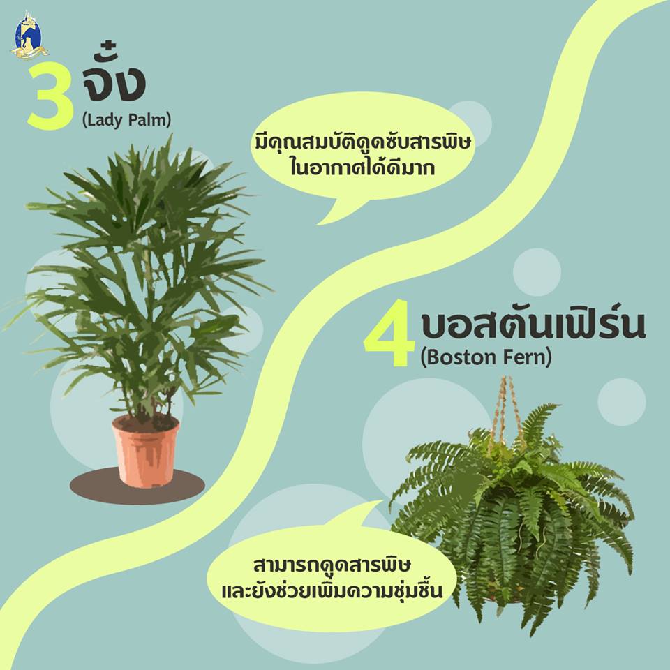 Pic Post ของฉัน ตอน ความรู้คู่บ้าน 1