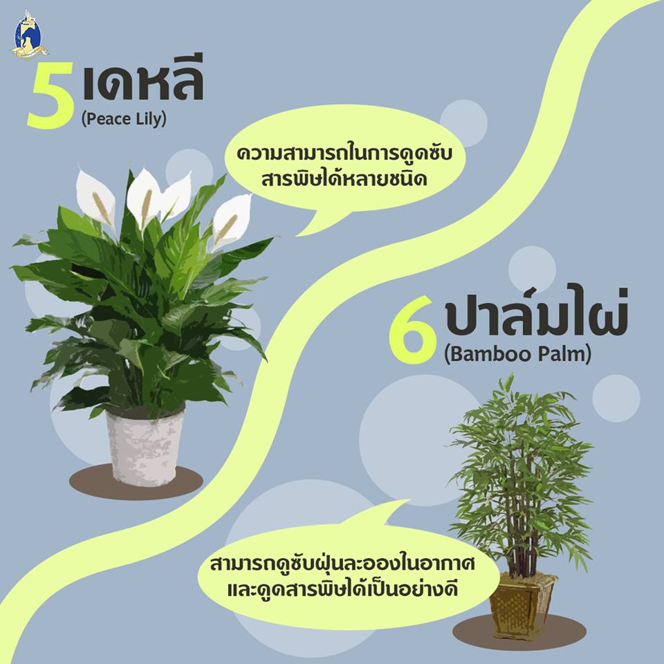 Pic Post ของฉัน ตอน ความรู้คู่บ้าน 1