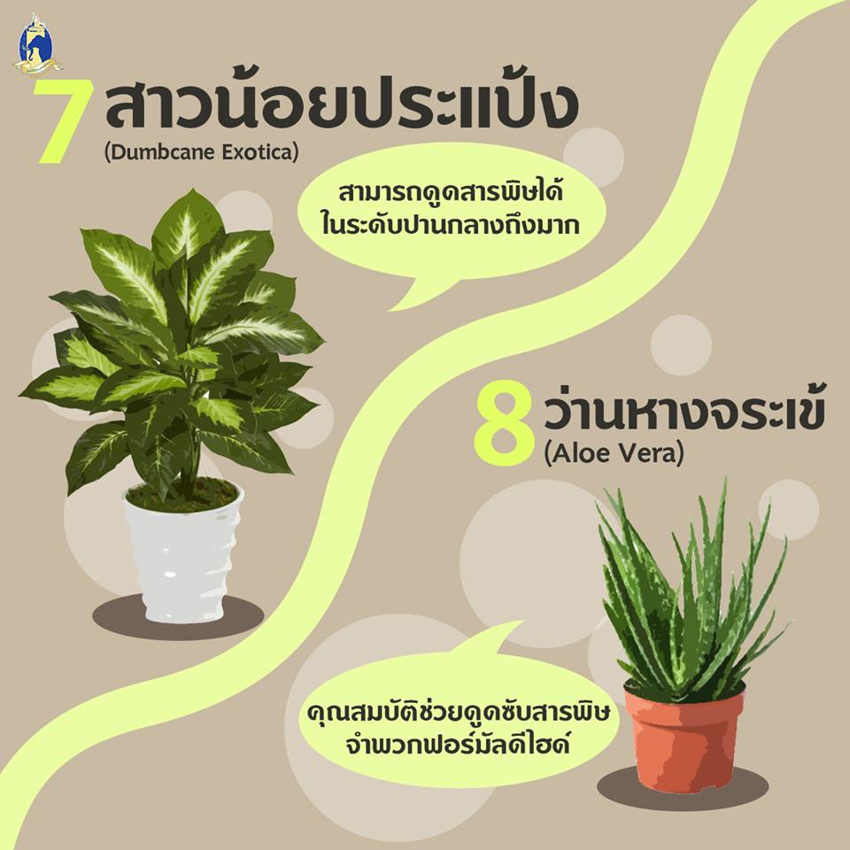 Pic Post ของฉัน ตอน ความรู้คู่บ้าน 1