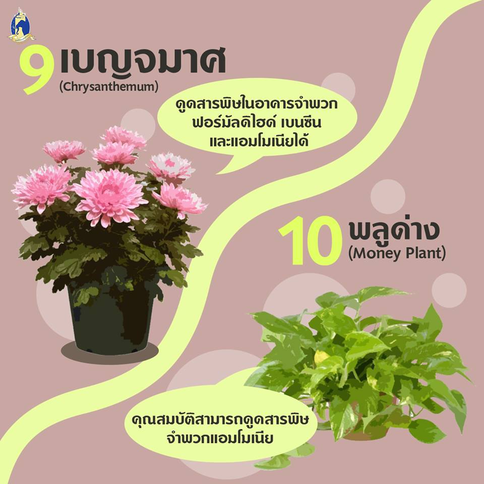 Pic Post ของฉัน ตอน ความรู้คู่บ้าน 1