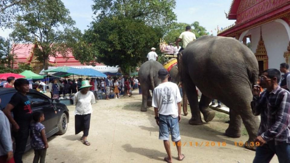 วัดหลักช้าง ต.หลักช้าง