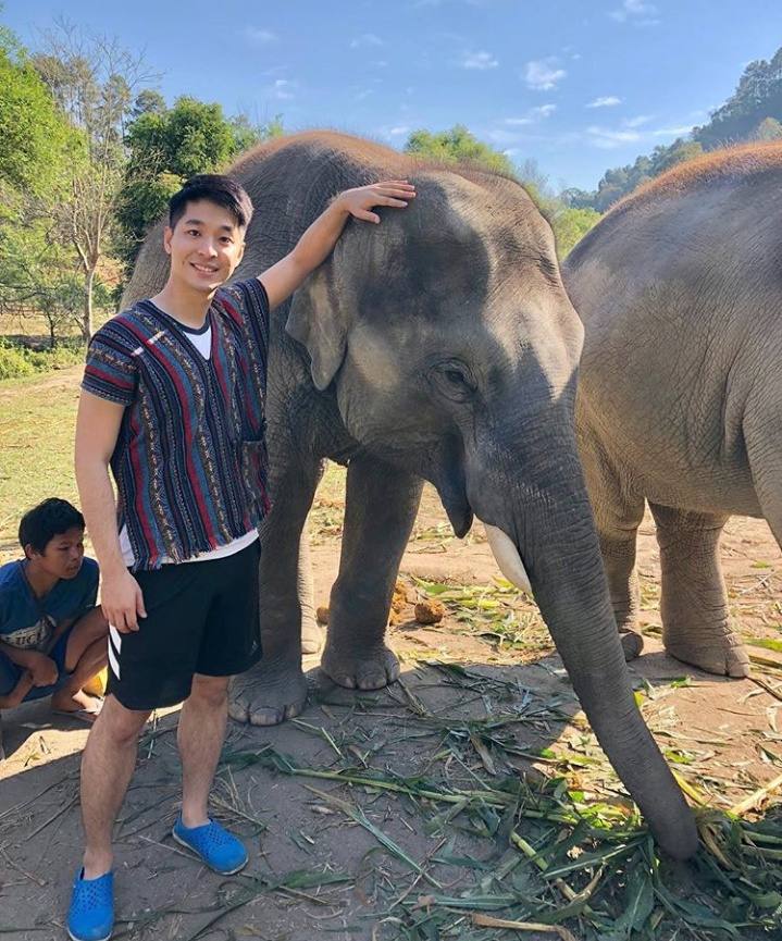 ดีต่อใจ#443(ใครๆก็รักช้างไทย..)
