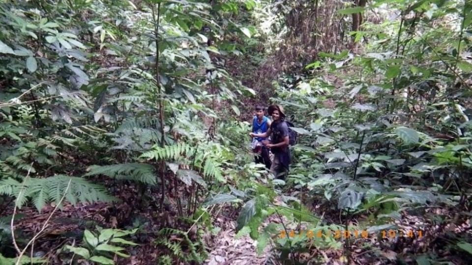 เส้นทางไปยอดเขาเหมน(ภาคใต้)