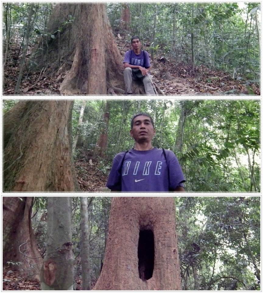 เจ้าของภาพ เรื่องนี้
