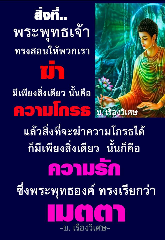 Pic Post ของฉัน ตอน ภาพบุญ 8