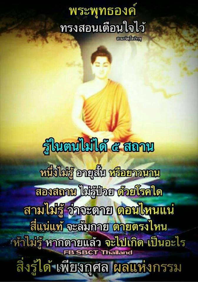Pic Post ของฉัน ตอน ภาพบุญ 9