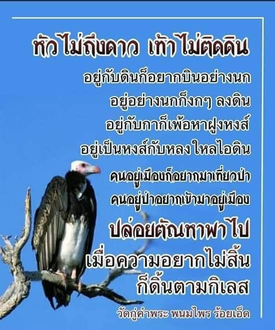 Pic Post ของฉัน ตอน ภาพบุญ 9