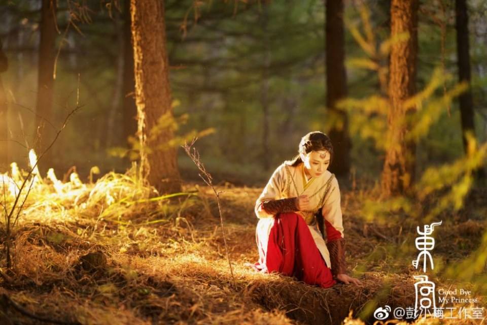 ละคร อำลาองค์หญิงที่รัก Good Bye My Princess 《东宫》 2018