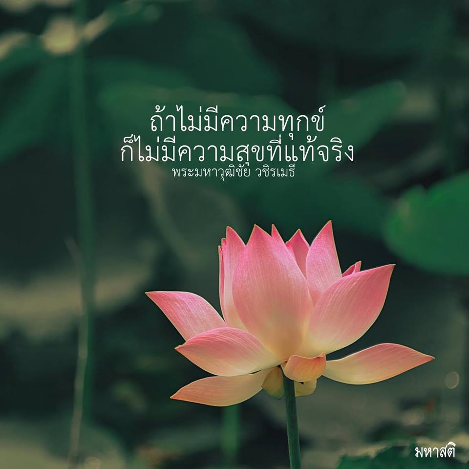Pic Post ของฉัน ตอน ภาพบุญ 22