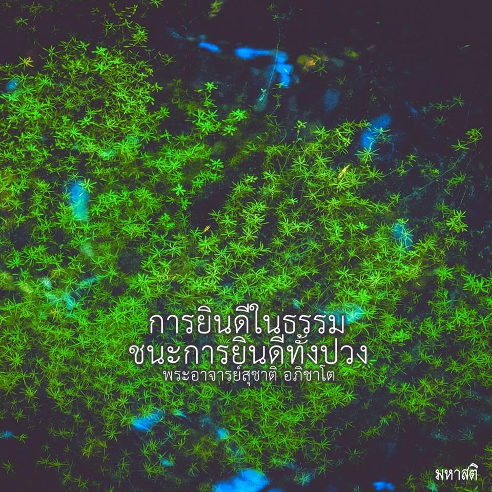 Pic Post ของฉัน ตอน ภาพบุญ 22