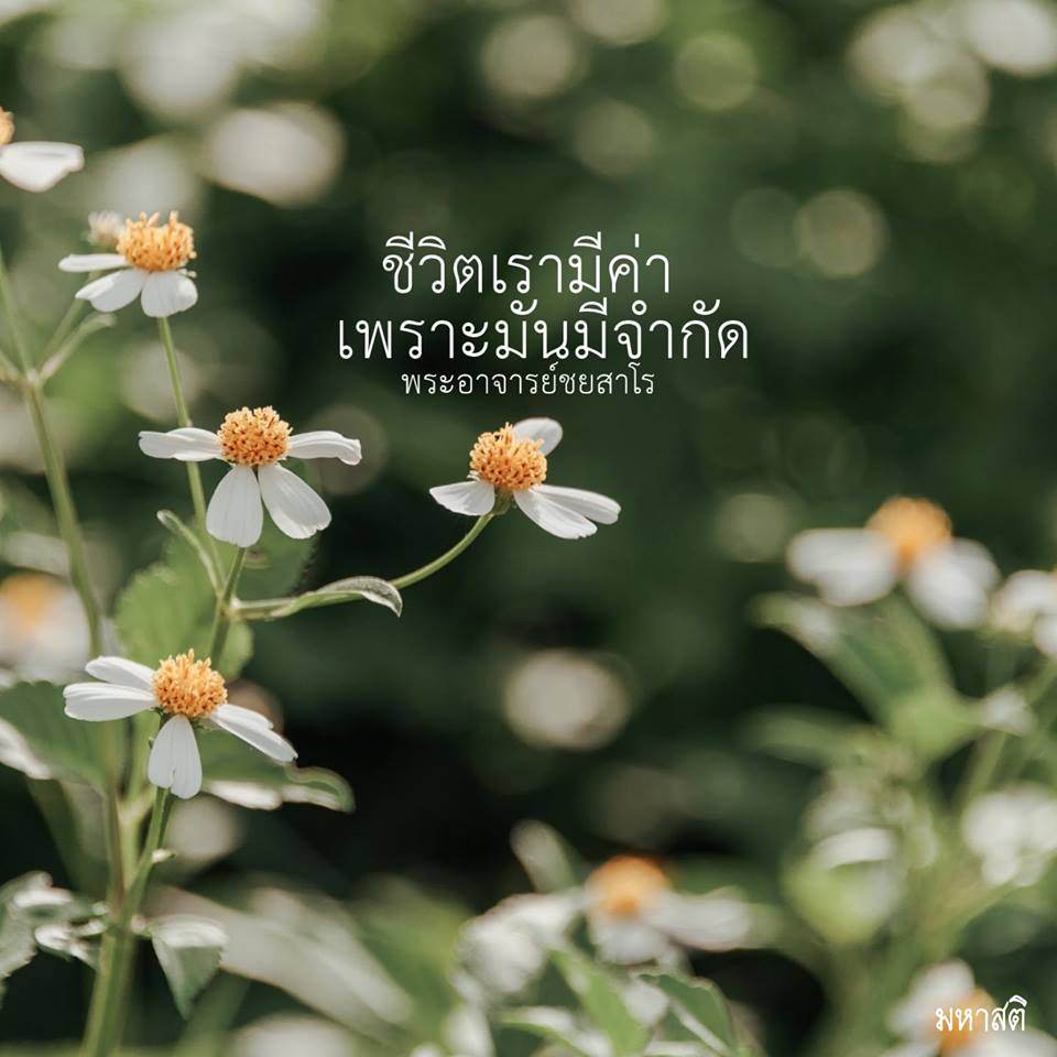 Pic Post ของฉัน ตอน ภาพบุญ 22