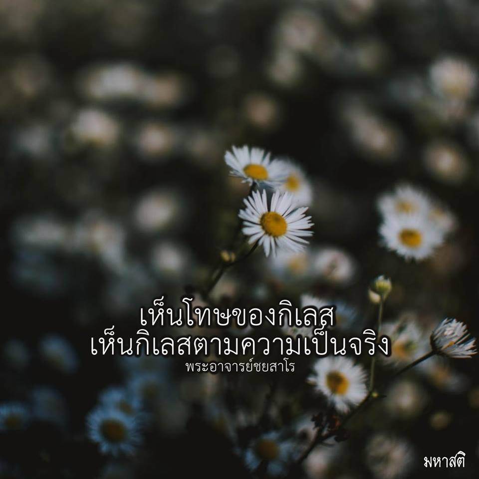 Pic Post ของฉัน ตอน ภาพบุญ 22