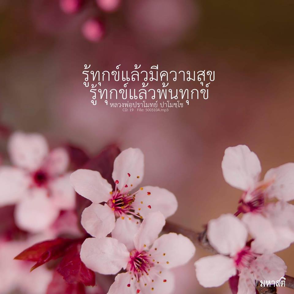 Pic Post ของฉัน ตอน ภาพบุญ 23