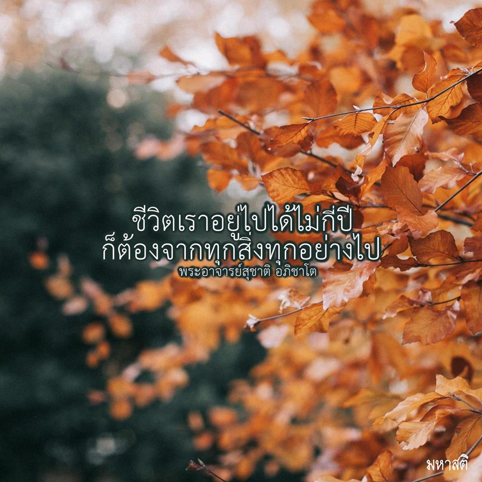 Pic Post ของฉัน ตอน ภาพบุญ 23