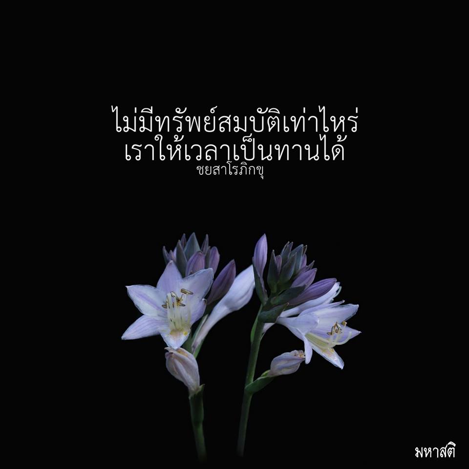 Pic Post ของฉัน ตอน ภาพบุญ 24