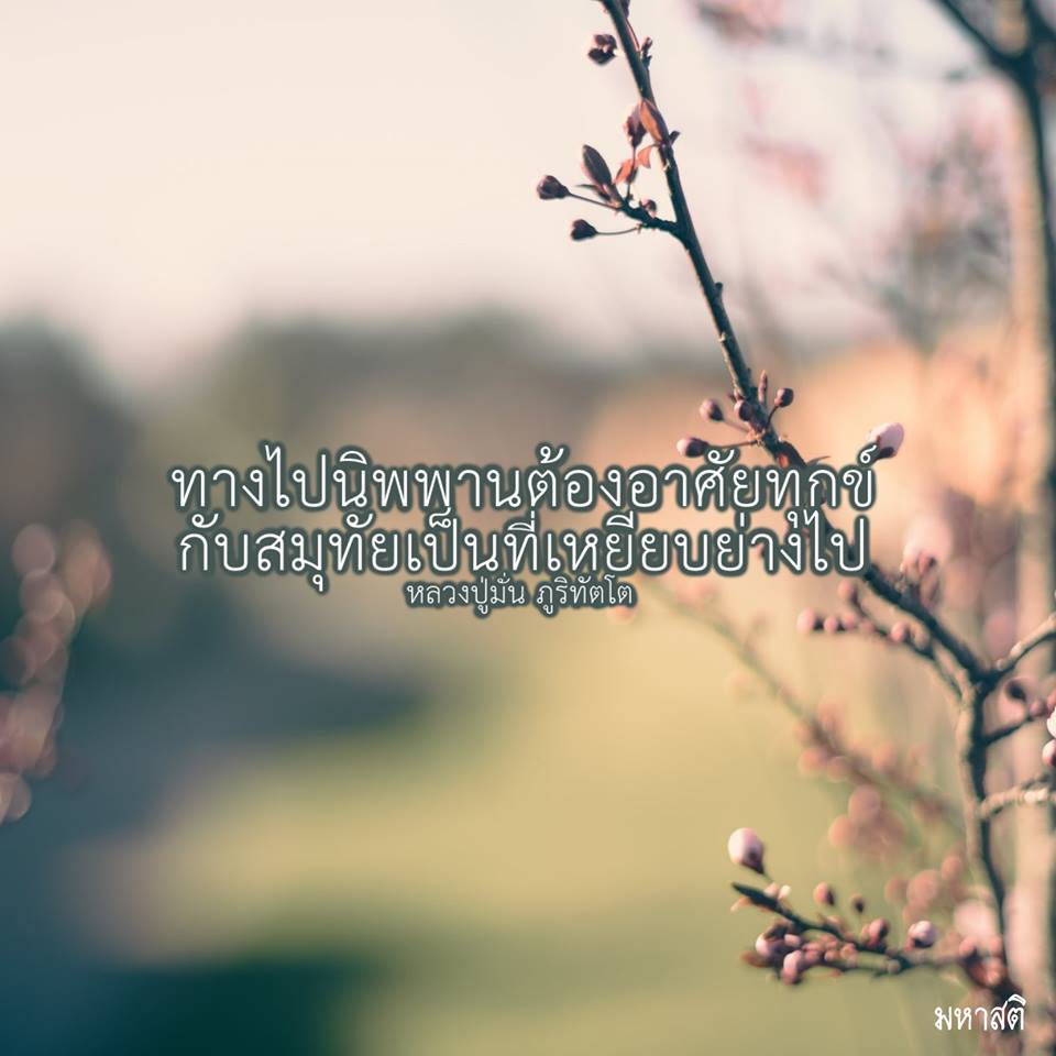 Pic Post ของฉัน ตอน ภาพบุญ 24