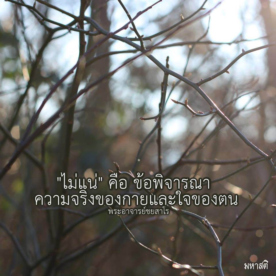 Pic Post ของฉัน ตอน ภาพบุญ 24
