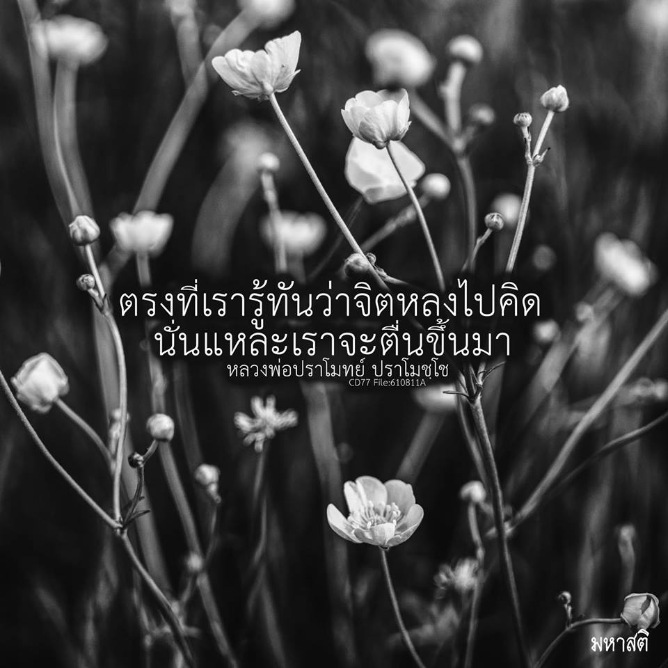 Pic Post ของฉัน ตอน ภาพบุญ 25