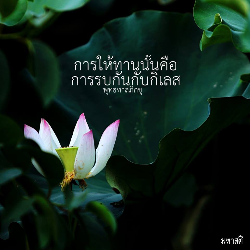 Pic Post ของฉัน ตอน ภาพบุญ 25