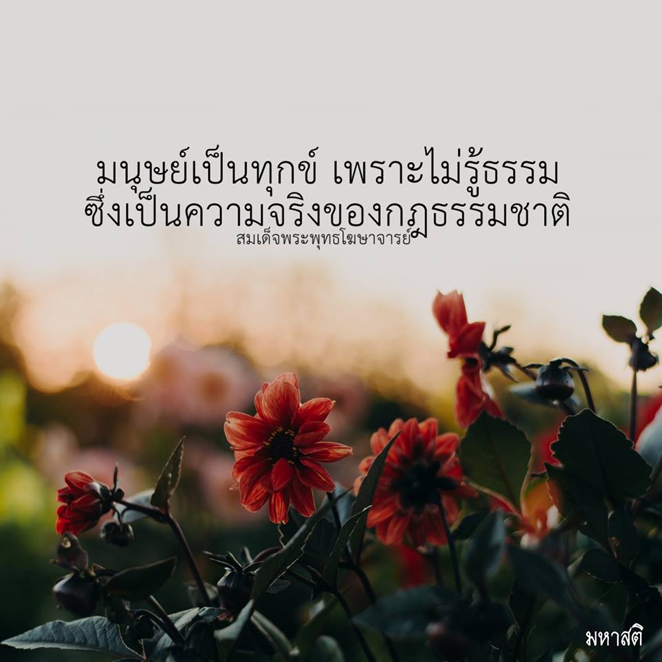 Pic Post ของฉัน ตอน ภาพบุญ 25