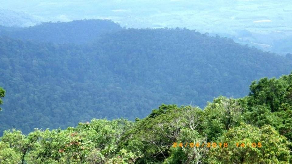 ด้านตะวันออก