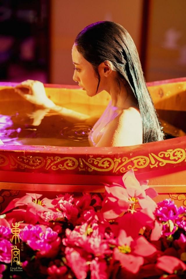 ละคร อำลาองค์หญิงที่รัก Good Bye My Princess 《东宫》 2018