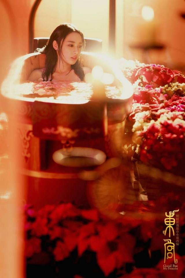ละคร อำลาองค์หญิงที่รัก Good Bye My Princess 《东宫》 2018