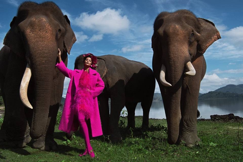 H'Hen Ni&ecirc; @ Heritage Fashion vietnam February 2019