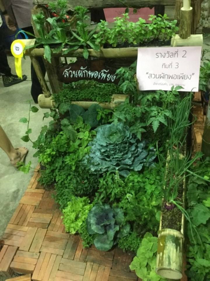 ดีต่อใจ#493เที่ยวงานมหกรรมโปงลางผ้าไหมแพรวางานกาชาดกาฬสินธุ์2562