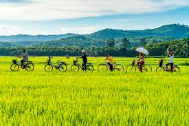 ความสวยงามของธรรมชาติ