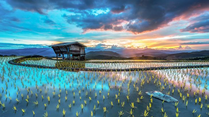 ความสวยงามของธรรมชาติ