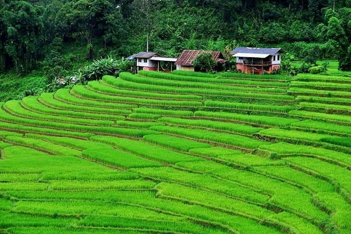 ความสวยงามของธรรมชาติ