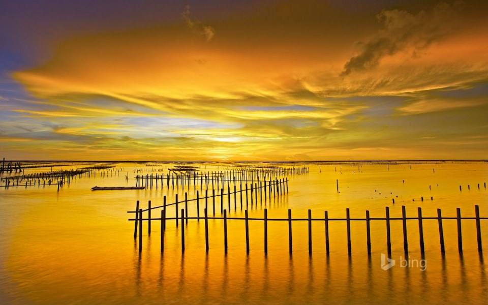ความสวยงามของธรรมชาติ
