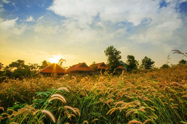 ความสวยงามของธรรมชาติ