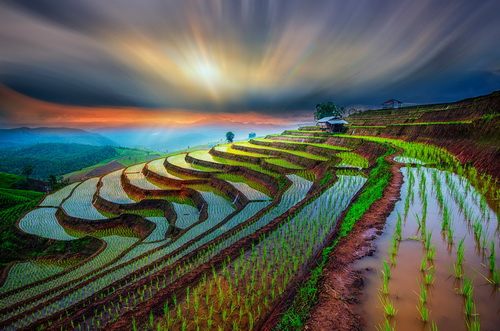 ความสวยงามของธรรมชาติ