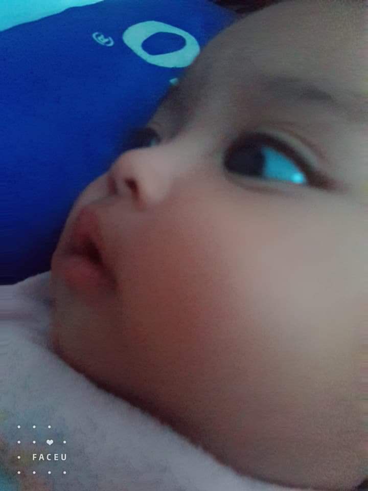 Babe   ตุ๊กตาบาร์บี้