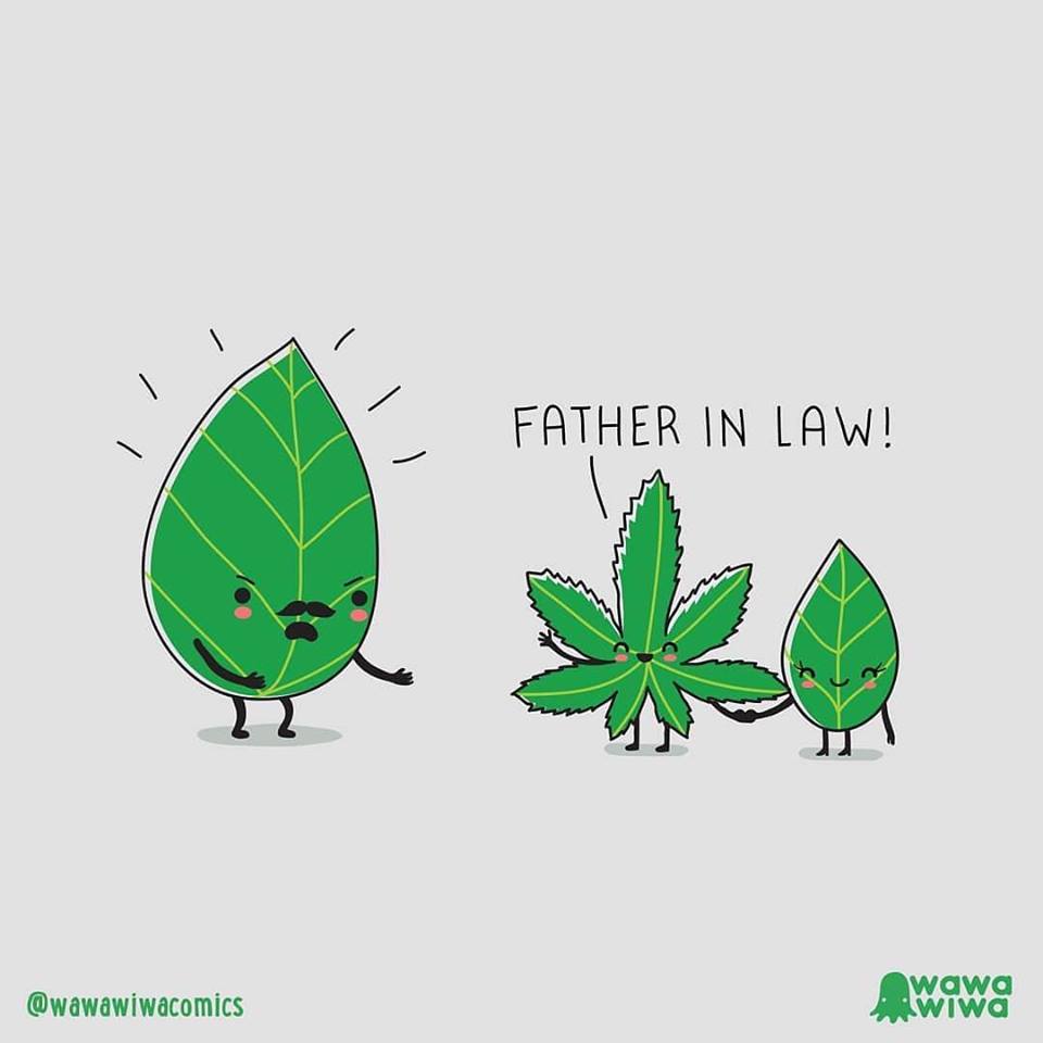 wawawiwacomics