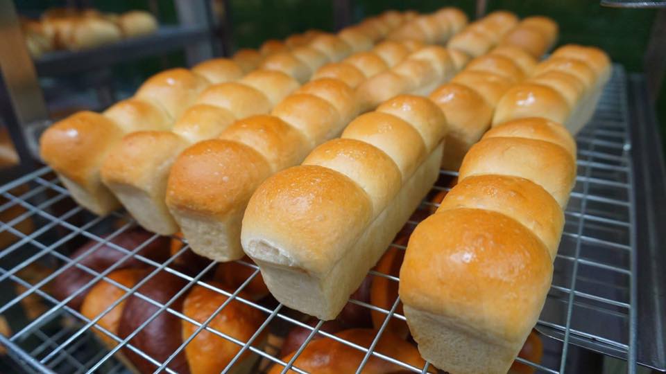 Pic Post ของฉัน (NEW:2019) // เมนูเด็ดกินได้ก็กิน 08