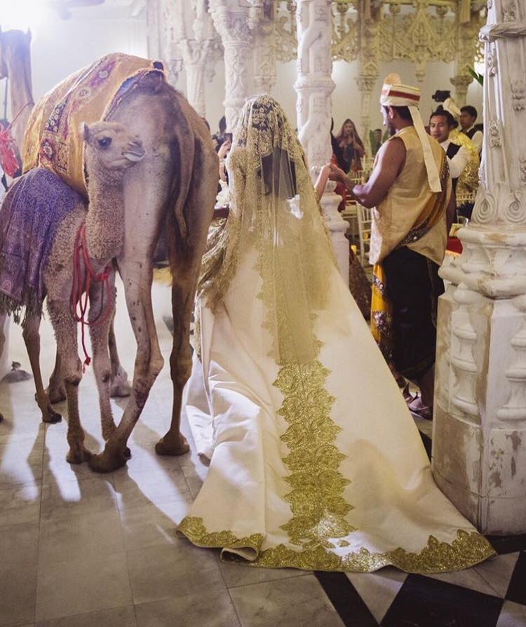 รวมดาราร่วมงานวันเกิด แหวนแหวน💍1💍