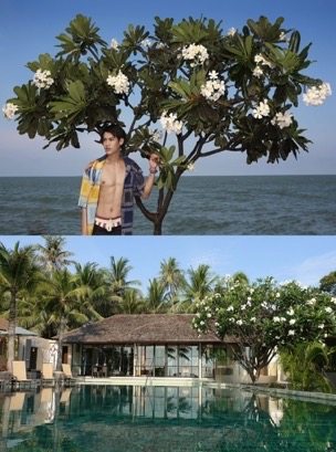 น้องป๊อบ ของดีจากแรงเงา