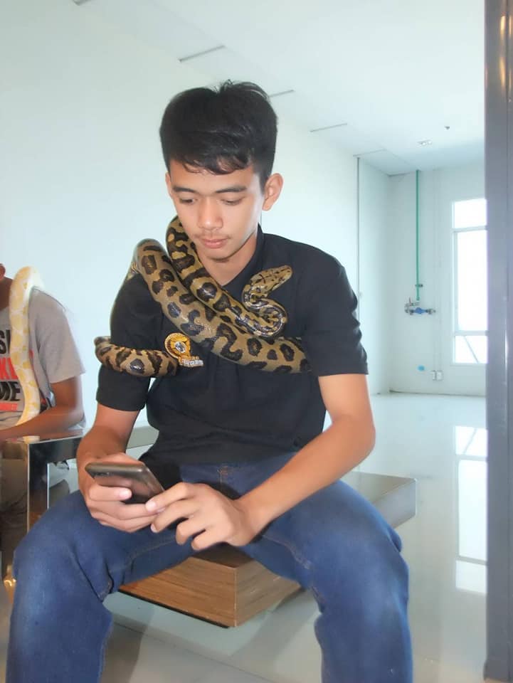 เปิดวาร์ปหนุ่มกู้ภัย  อาสาจับงู แต่โดนตำรวจจับ
