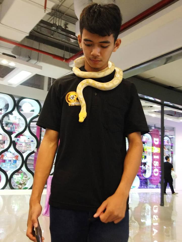 เปิดวาร์ปหนุ่มกู้ภัย  อาสาจับงู แต่โดนตำรวจจับ