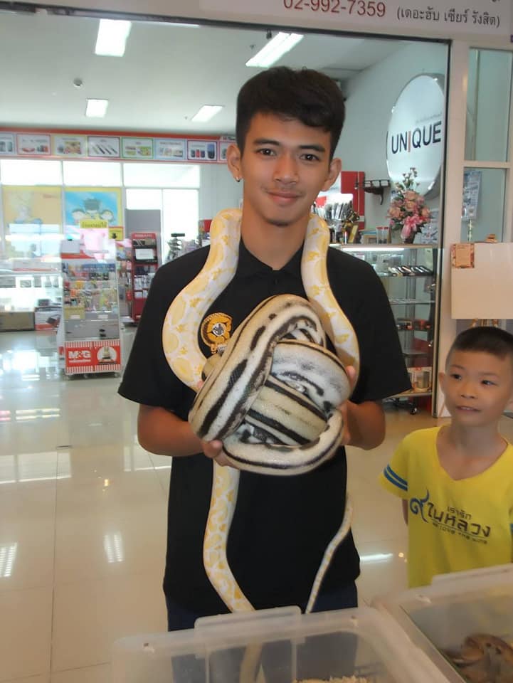 เปิดวาร์ปหนุ่มกู้ภัย  อาสาจับงู แต่โดนตำรวจจับ